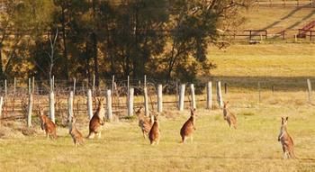 Talga Estate - Accommodation Ballina 44