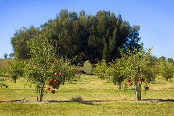 Talga Estate - Accommodation Ballina 48