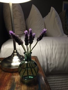 Lilies Luxury Retreats - Accommodation Ballina 51
