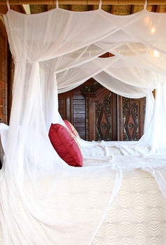 Makepeace Island - All Inclusive - Accommodation Ballina 21