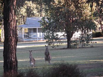 Cam-Way Estate - Accommodation Ballina 3