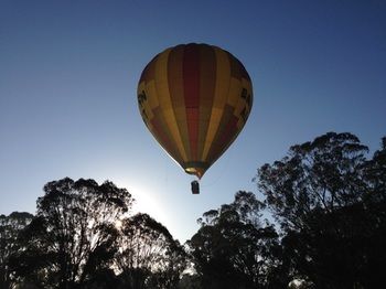 Cam-Way Estate - Accommodation Ballina 25
