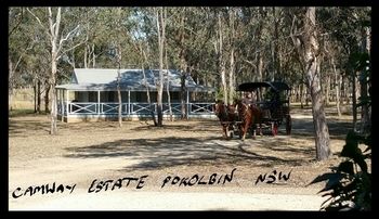 Cam-Way Estate - Accommodation Ballina 31