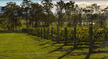 H Boutique Hotel - Accommodation Ballina 34