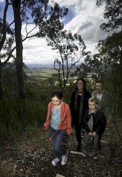 Eagleview Resort - Accommodation Ballina 28