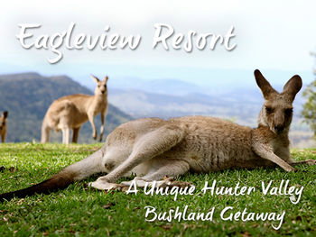 Eagleview Resort - Accommodation Ballina 45