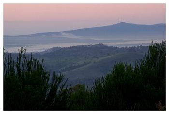 Eagleview Resort - Accommodation Ballina 74