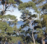 The Edgewater Bed amp Breakfast - Accommodation Ballina