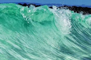 Bella Villas Of Jervis Bay - Accommodation Ballina 10