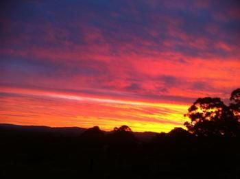 Rothbury Escape - Accommodation Ballina 11