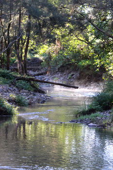 Yabbaloumba Retreat - Accommodation Ballina 5