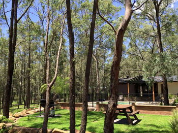 Belford Cottages - Accommodation Ballina 10