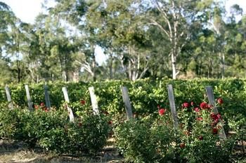 The Grange On Hermitage - Accommodation Ballina 5