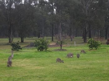 The Grange On Hermitage - Accommodation Ballina 9