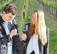 Valley Farm Vineyard Cottages - Accommodation Ballina