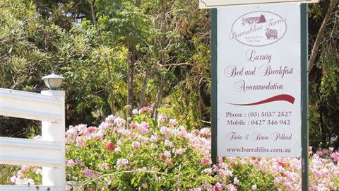 Burrabliss Bed And Breakfast - Accommodation Ballina 6
