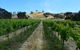 Blue House At Mountainside Wines - thumb 1