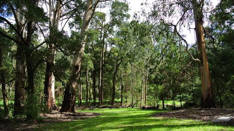 Wildwood Retreat - Accommodation Ballina 0