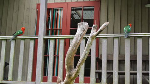 Wildwood Retreat - Accommodation Ballina 4