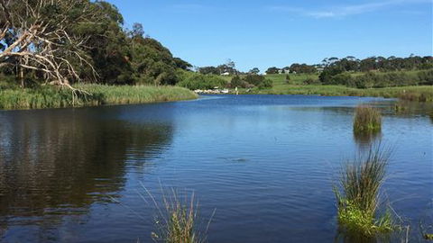 Curdievale Riverfront Lodge - Accommodation Ballina 4