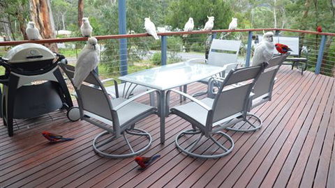 Blue Ridge Retreat - Accommodation Ballina 2