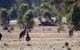 Wartook Rise Mudbrick Cabins - thumb 1