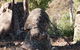 Wartook Rise Mudbrick Cabins - thumb 3