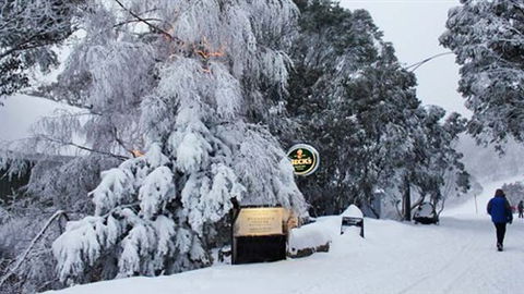 Feathertop Alpine Lodge - Accommodation Ballina 0