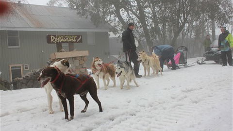 Feathertop Alpine Lodge - Accommodation Ballina 4