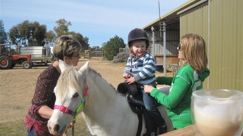 Cabarita Lodge - Accommodation Ballina 2