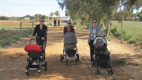 Cabarita Lodge - Accommodation Ballina 3