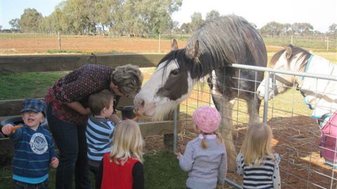 Cabarita Lodge - Accommodation Ballina 4