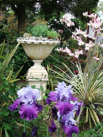 Admurraya House - Accommodation Ballina 2