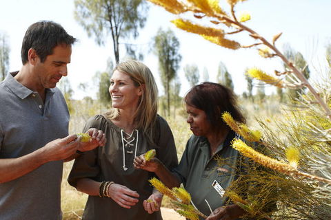 Ayers Rock Campground - Accommodation Ballina 2