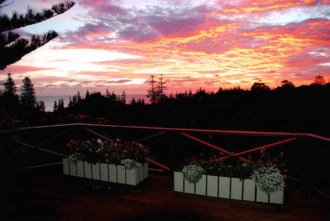Cascade Garden Apartments - Accommodation Ballina 3