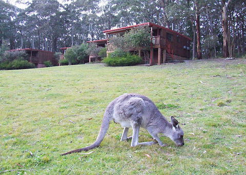 Jenolan Caves Cottages - Accommodation Ballina 0