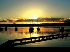 Paradise Palms Carey Bay - Accommodation Ballina 4