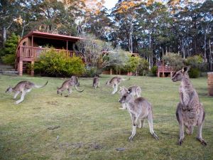 Jenolan Caves Cottages - Accommodation Ballina 1