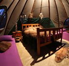 Aranyani Bison Adventure Tourist Park - Accommodation Ballina