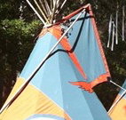 Central Coast Eco Tours - Accommodation Ballina