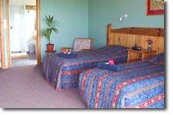 Trade Winds Country Cottages - Accommodation Ballina 1