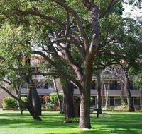 Trinity - Accommodation Ballina