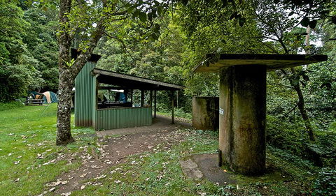 Forest Tops Campground - Accommodation Ballina 1