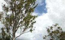 Glen Villa Resort And Tourist Park Casino - Accommodation Ballina 0