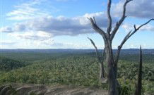 Goat Rock Camping Ground And Tourist Park - Accommodation Ballina 2