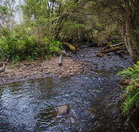 Horse Swamp campground