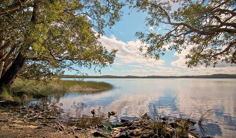 Johnsons Beach Campground - Accommodation Ballina 1