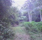 Macas Camping Ground - Accommodation Ballina