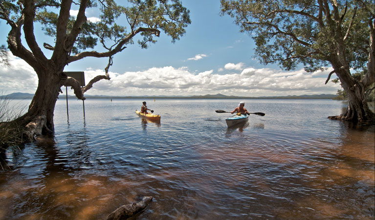 Willina NSW Accommodation Ballina