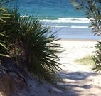 Myola Tourist Resort Caravan Park - Accommodation Ballina